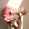 aya_reilinh