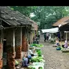 vinhanhnguyen_