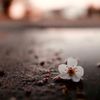 hopeawaited0