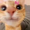 itznot.ana