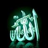 AMR_SiSi