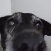 lllive7