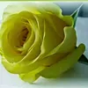 user3742005200122