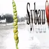 star_.o77