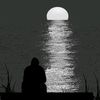 user3703571369123