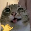 dnyaz_