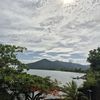 debbieolmo840