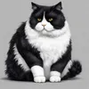 gata_gordaa