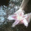 shizuka.amee