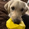 retiredmusiclady13