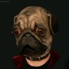 imwinstonthepug