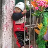 dattrinh2007