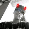 cemelodon