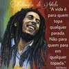 elcio49