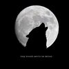 wolf_fara