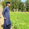 awaisunnar