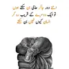 behlol__syed