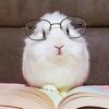 _agile.cat_