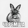 l._eblan