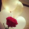 user446163578