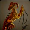 amberdrago