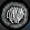 lizandr01d