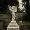 bluelikesskate