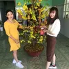 oanhtran819