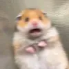 krriiissssiiiiii