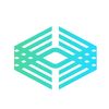 Visual Snow Initiative
