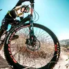 lorenzolallone