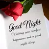 user033860179