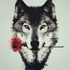 mmtt______7k
