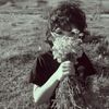 shndor_