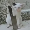 carottus