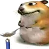 whyisthisalreadyused