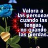 argenis039
