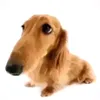 itzc4io