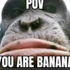 monke_7312_for_life