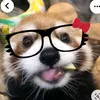 la_lie16