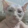 karmenclark