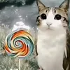 imasoul0
