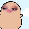 username1234salva