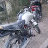 fertapia51