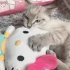 kam0miruti