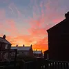 zoeirvine410
