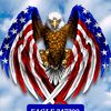 eagle.347
