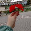 akrepp___kadiniii____
