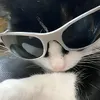 ca_initan