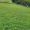unknown_24041